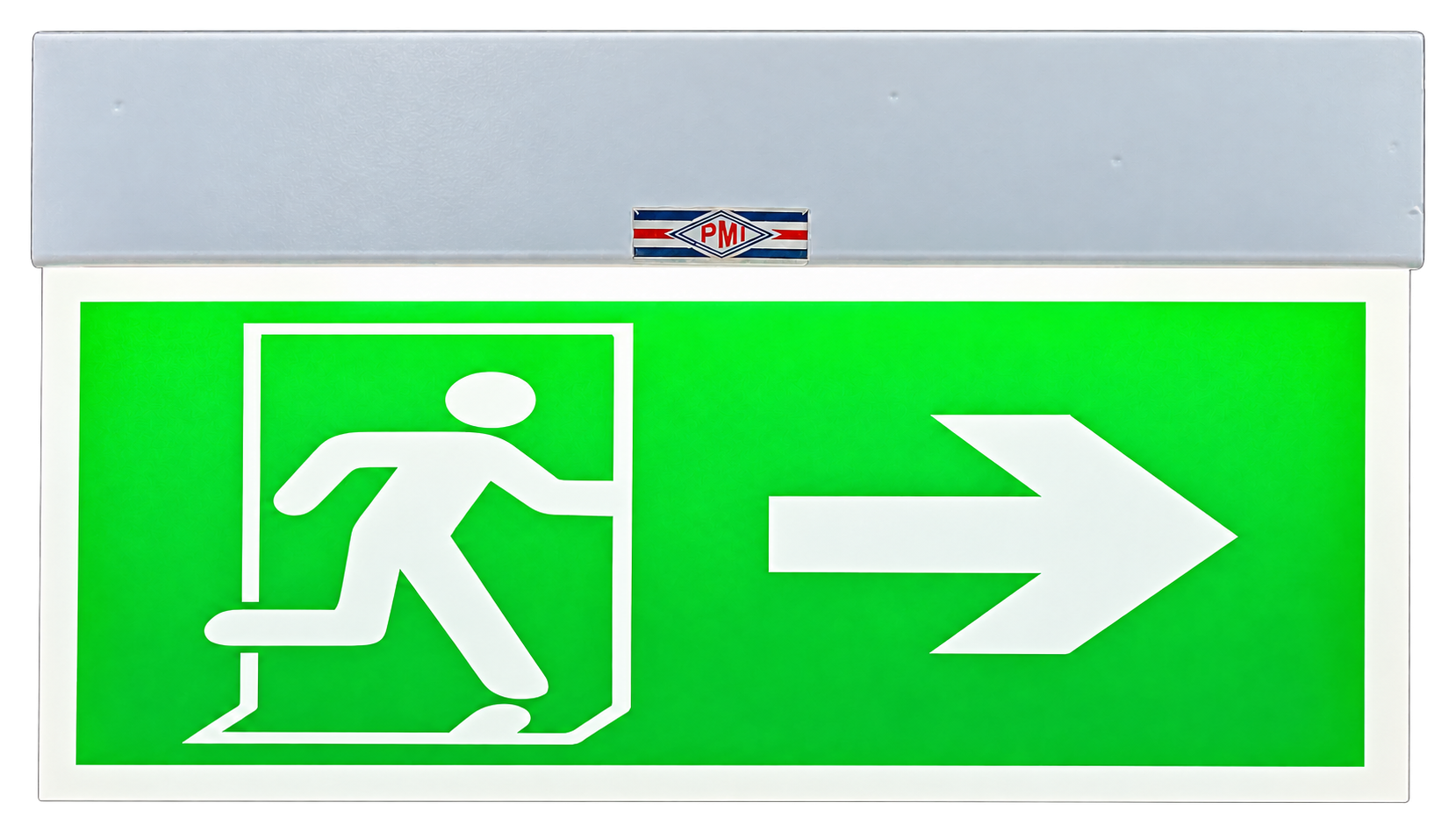 LES I (2) GRN green LED exit signage